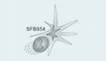 logo SFB854
